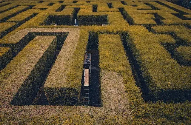 A bird view of a human-sized wall of bush maze