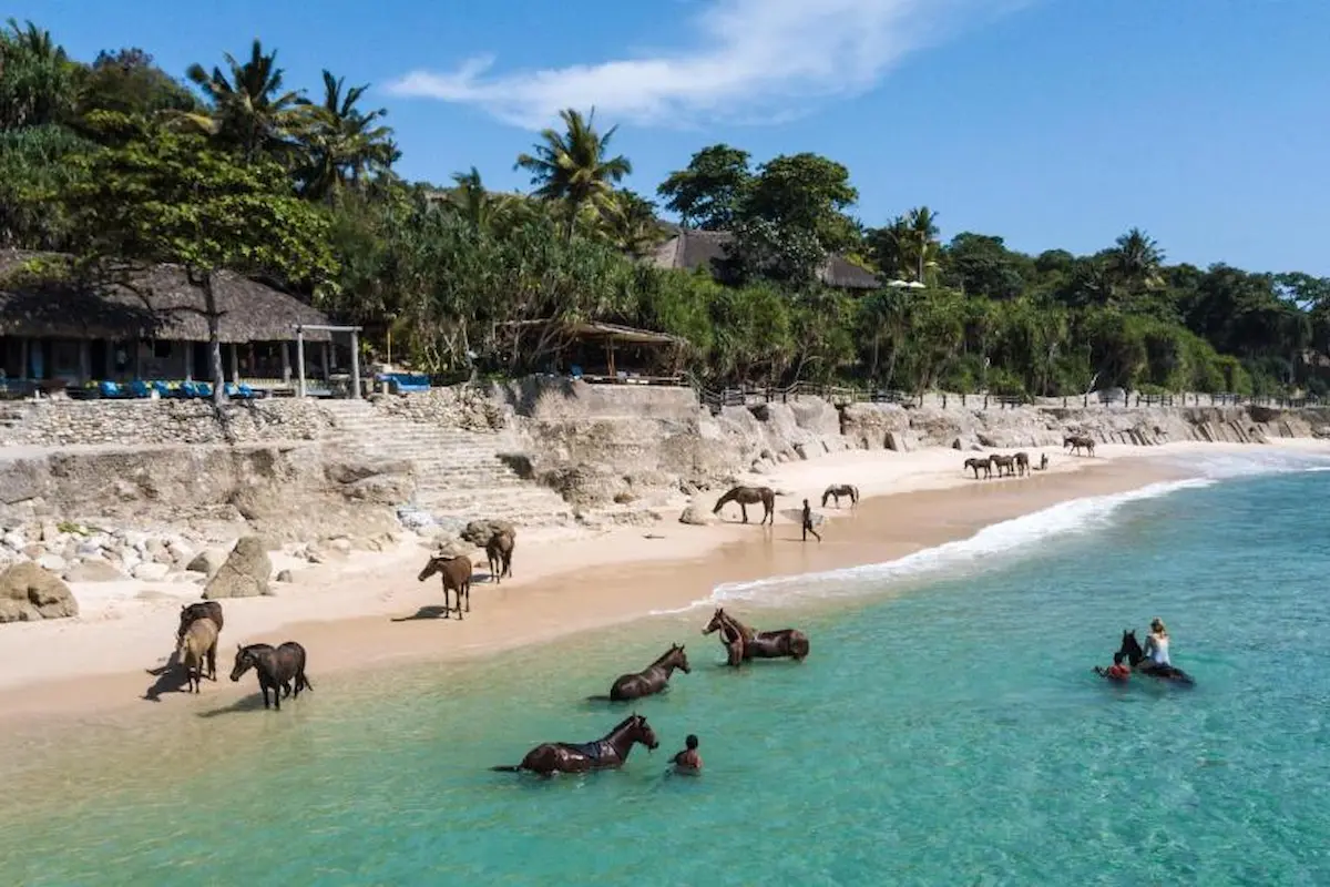 things to do in sumba island