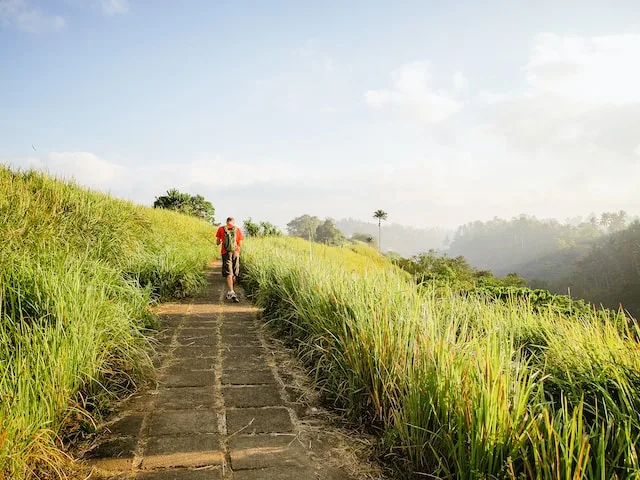 Campuhan Ridge Walk trek with medium-height grass flanking both side of the small pathway - Unique things to do in Ubud
