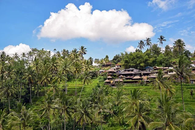 Things to do in Bali with kids at terrace rice
