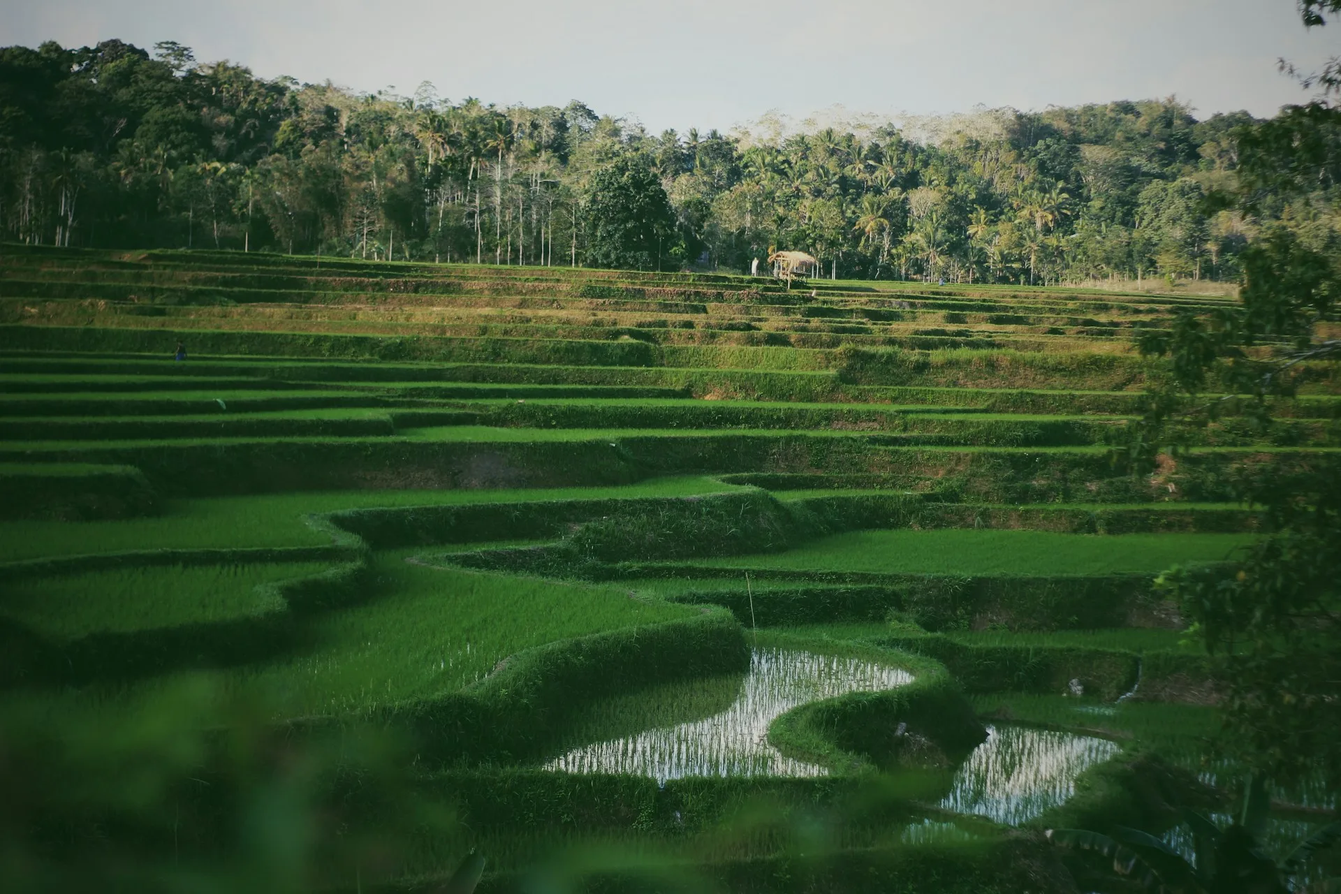 tempat wisata sumba