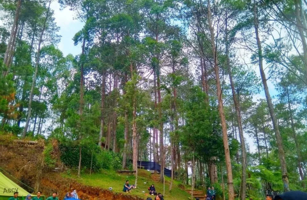 Ciwangun Indah Camp