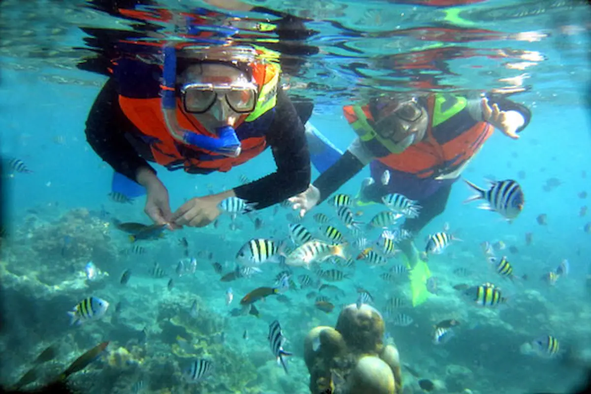 Daya Tarik Snorkeling Pulau Harapan