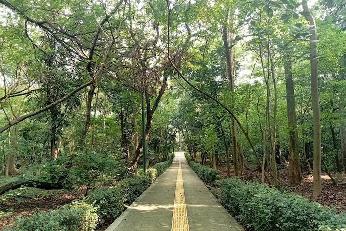Hutan Kota Srengseng