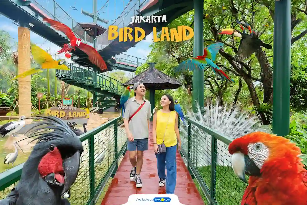 Jakarta Bird Land Ancol