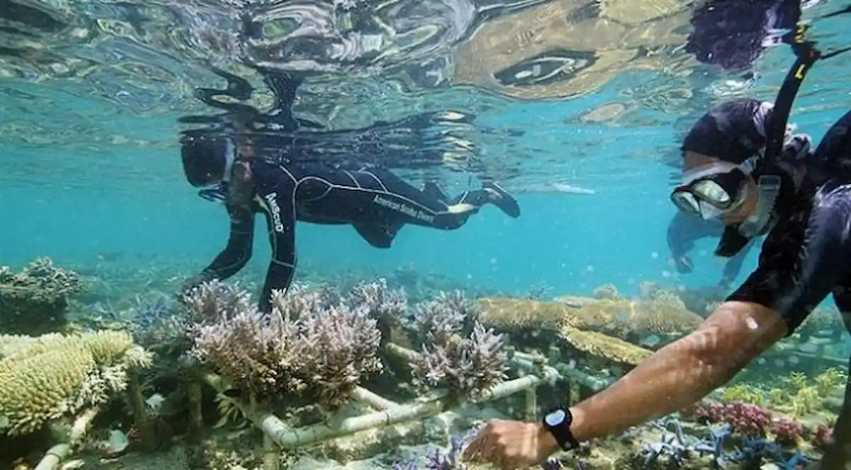 Pulau Pari untuk Snorkeling di Jakarta