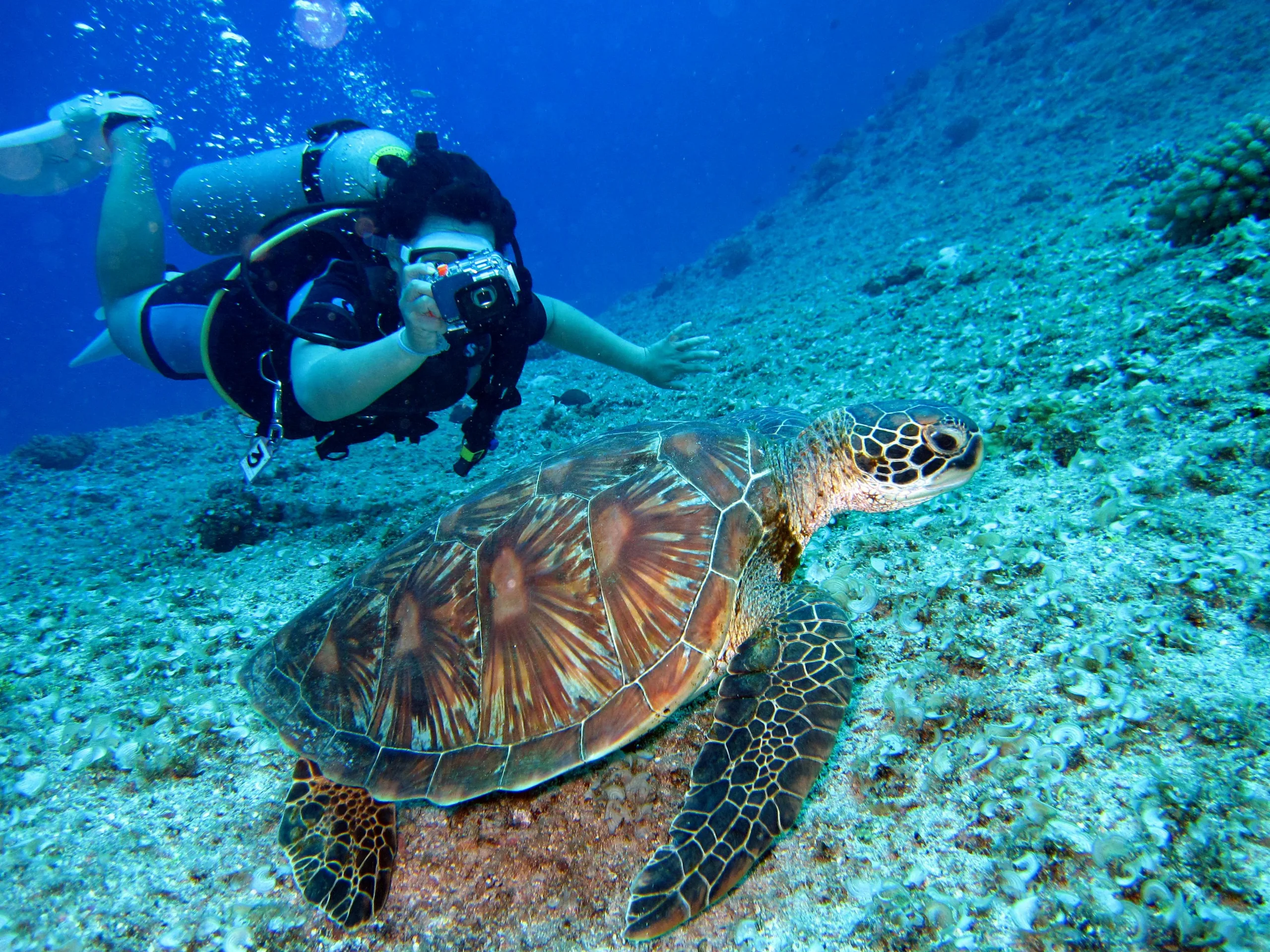 snorkeling di nusa penida