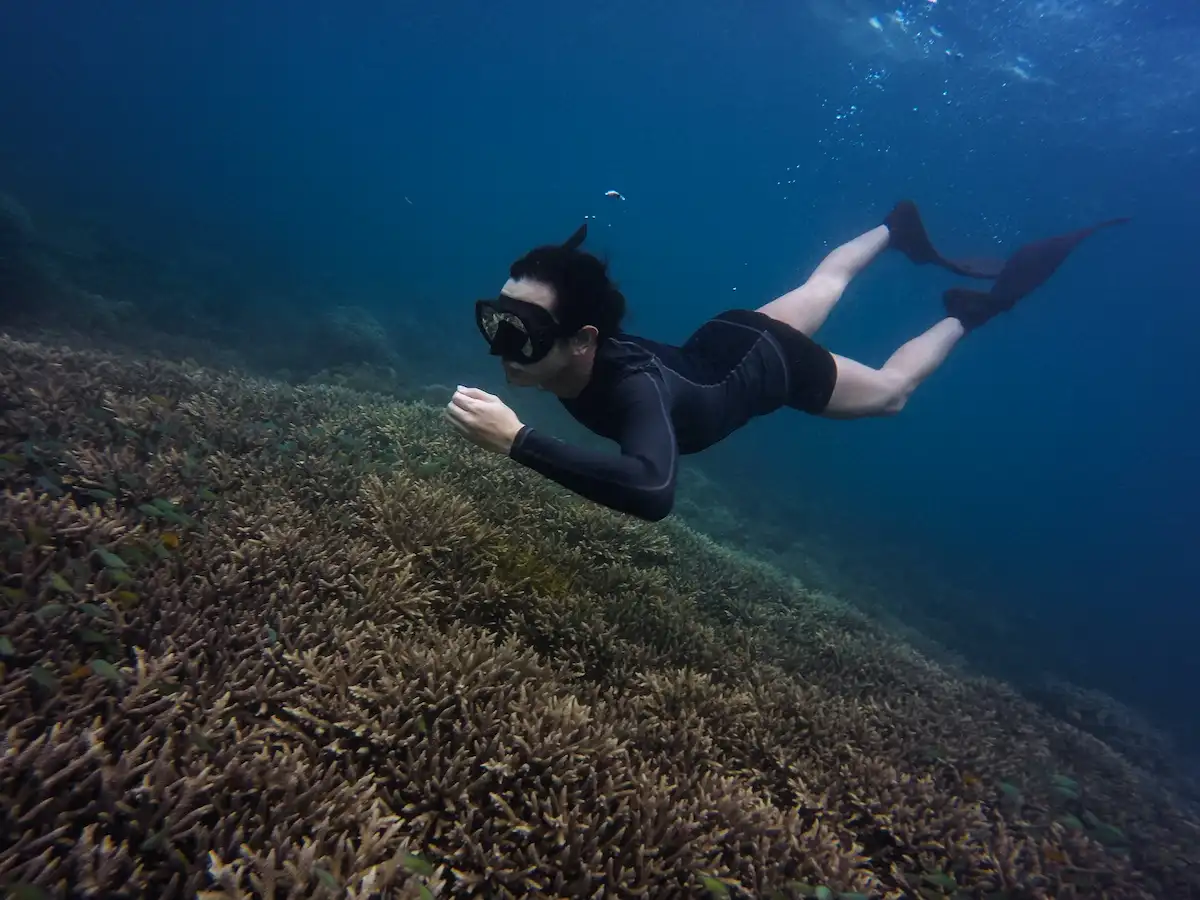 snorkeling pulau seribu