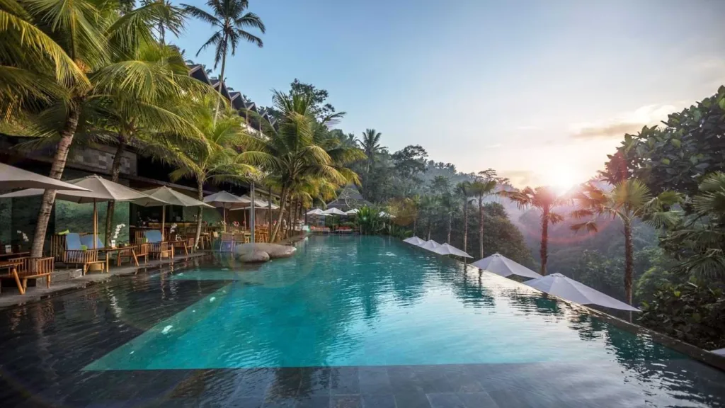 Infinity pool at Jungle Fish Bali overlooking a lush tropical forest