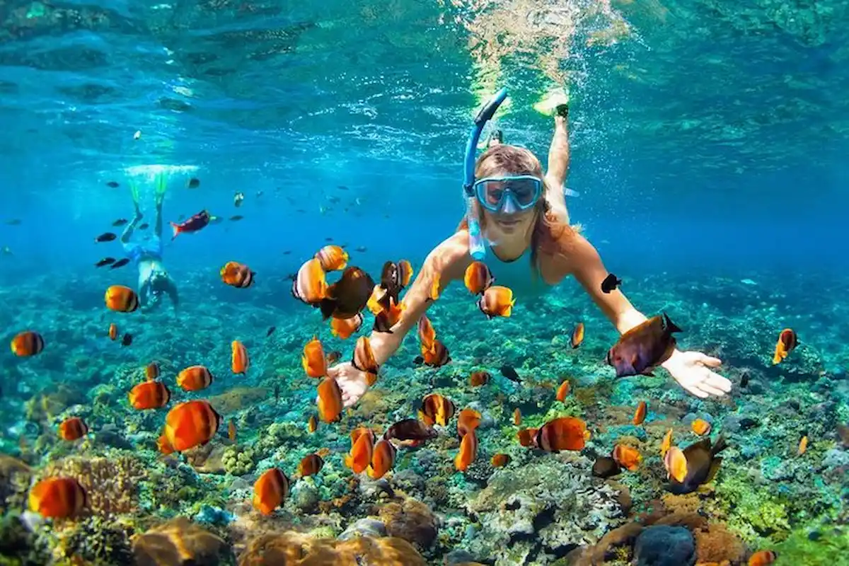 Daya Tarik Snorkeling di Kuta Lombok