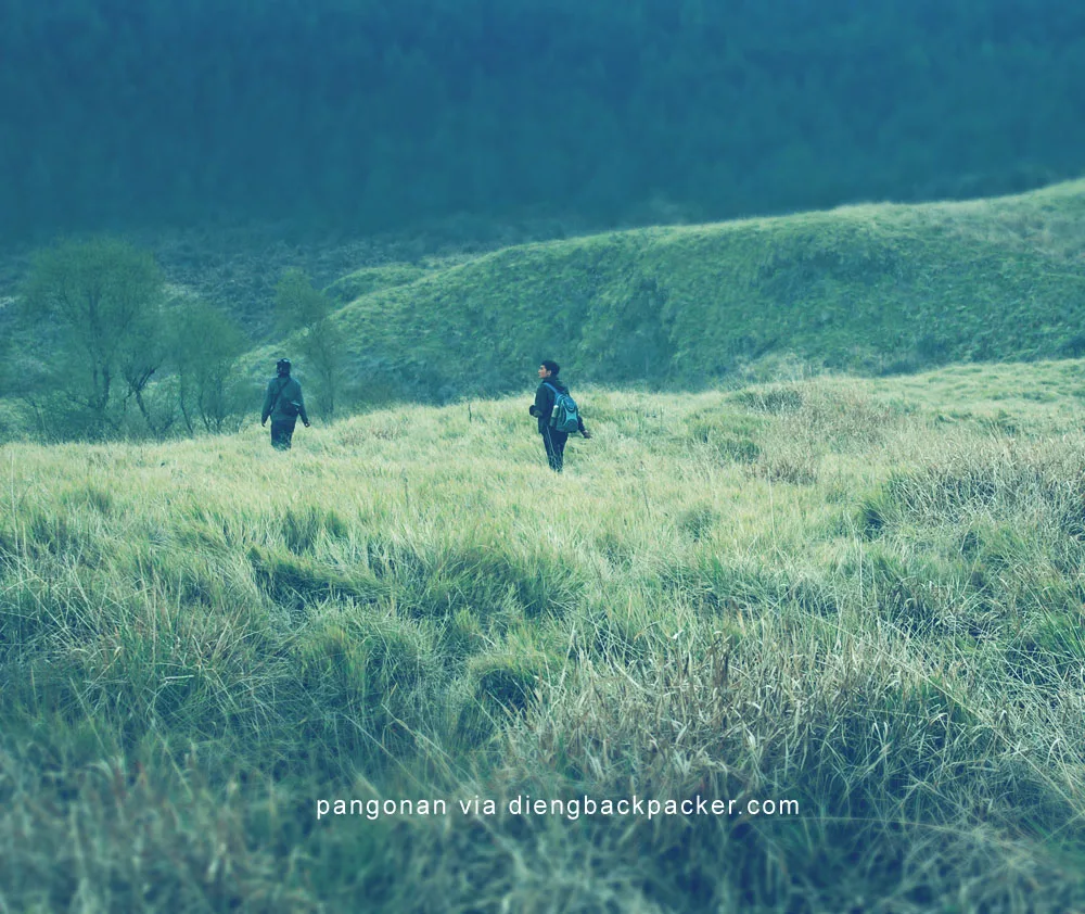 Gunung Pangonan Camping ground Dieng