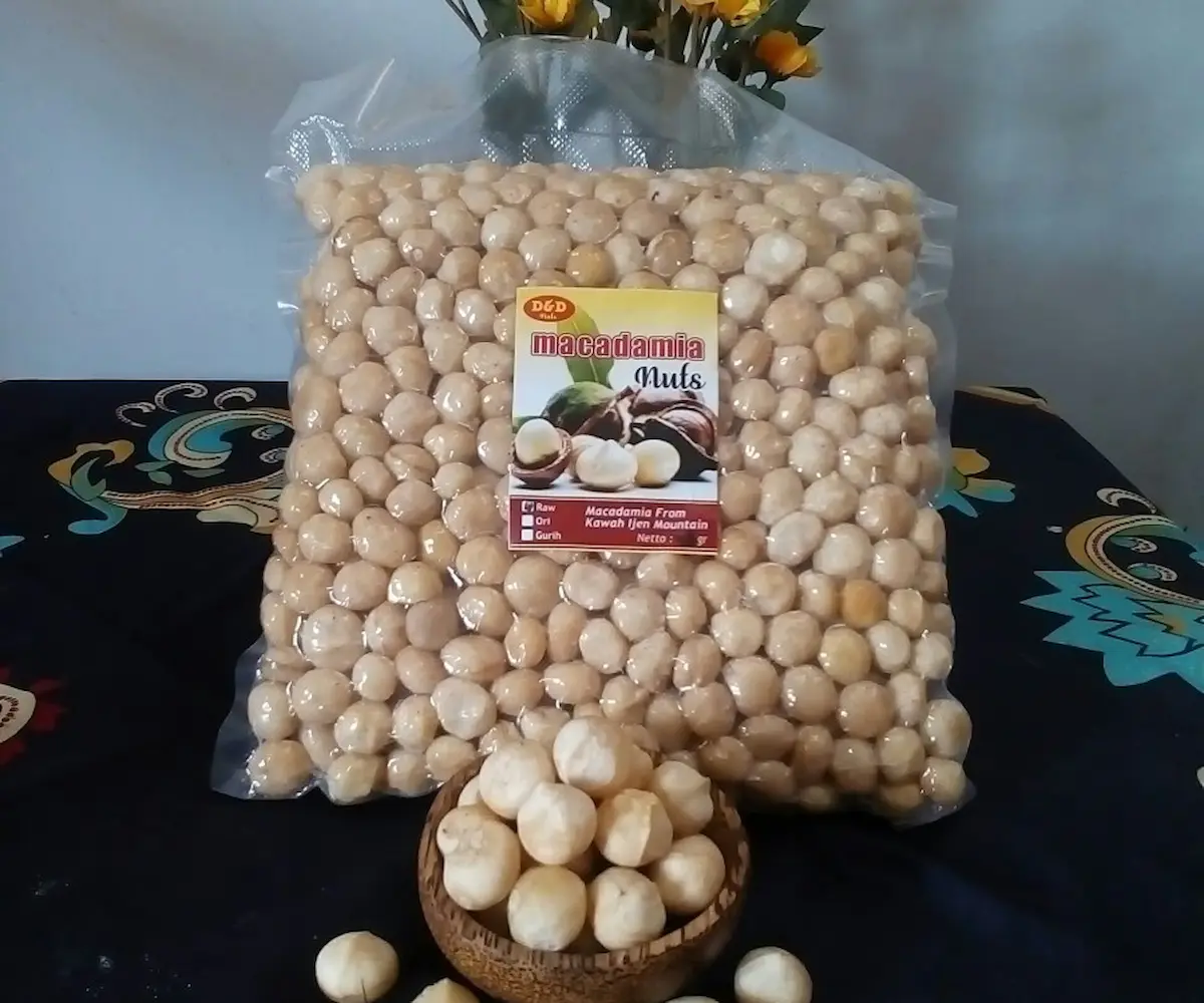 Kacang Makadamia