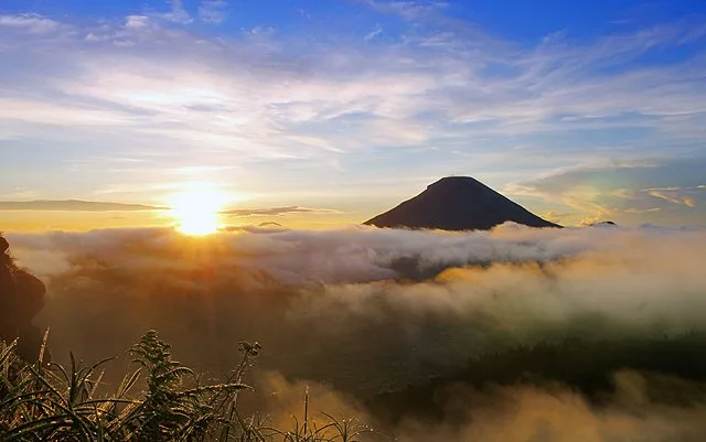 oleh-oleh khas wonosobo