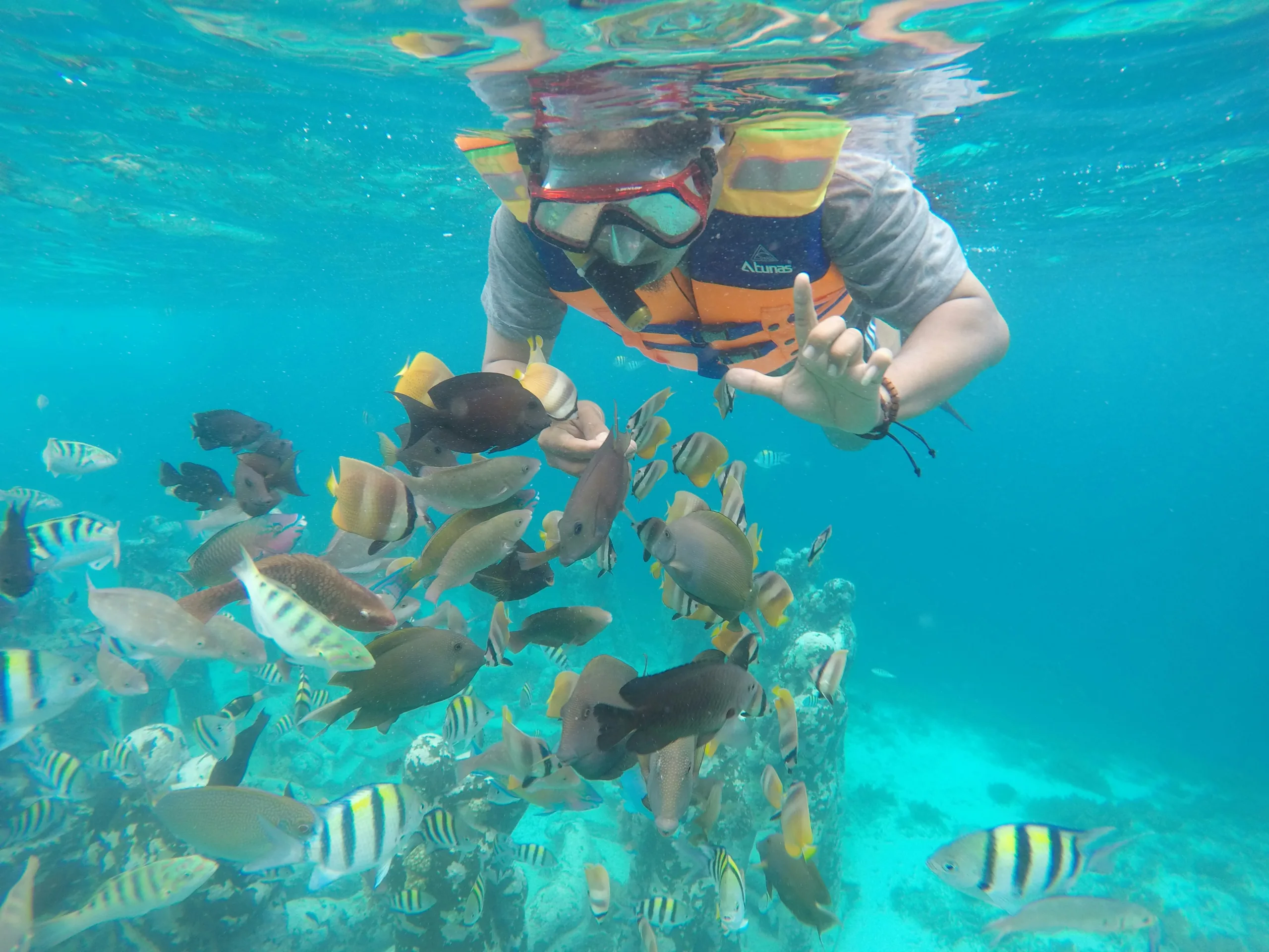 snorkeling kuta lombok snorkeling pulau tidung