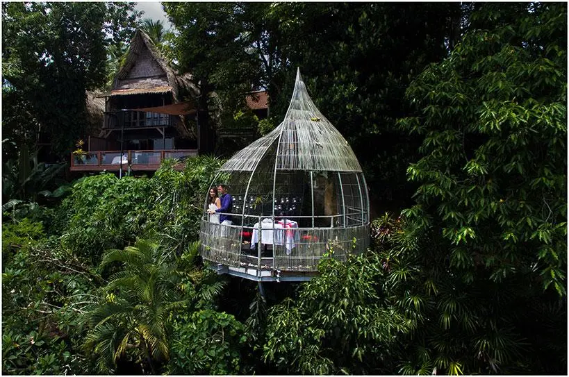 Bird's Nest Bali