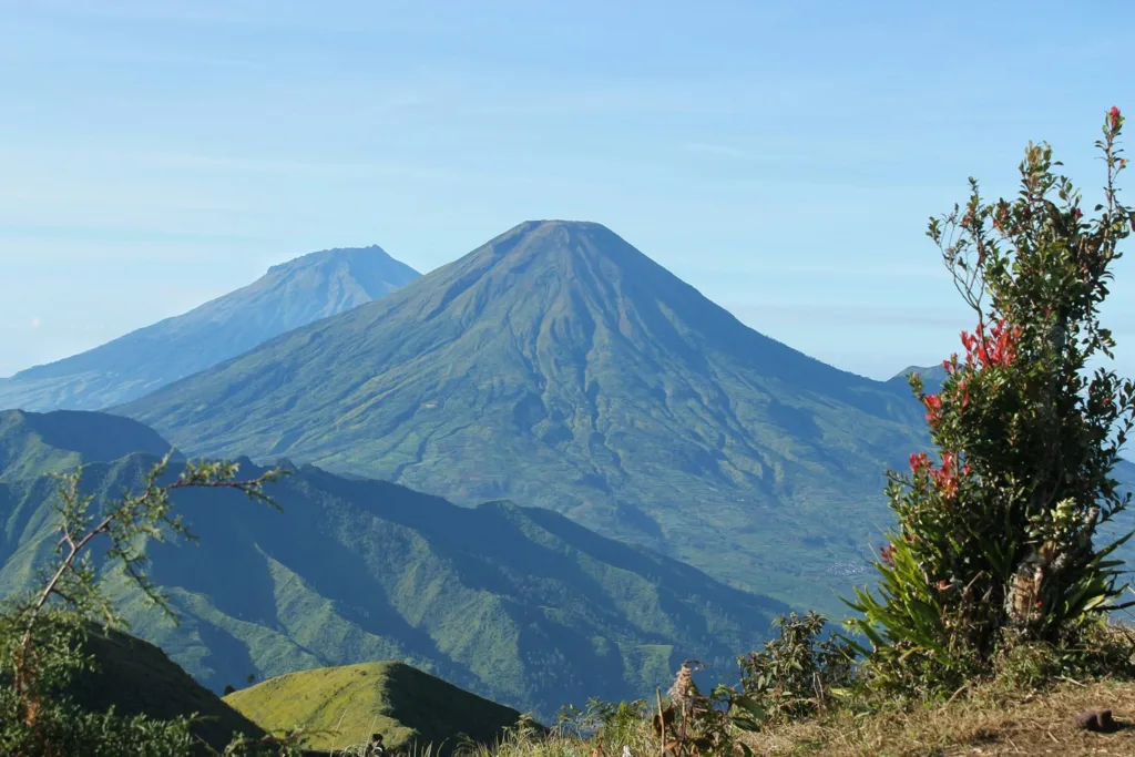 Discover the Majesty of Mount Prau with Bobocabin - gunung