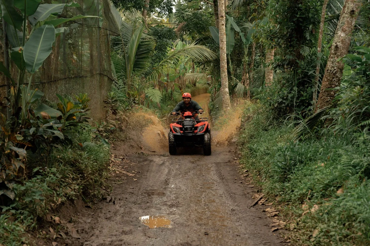 Get your adrenaline pumping through ATV adventure