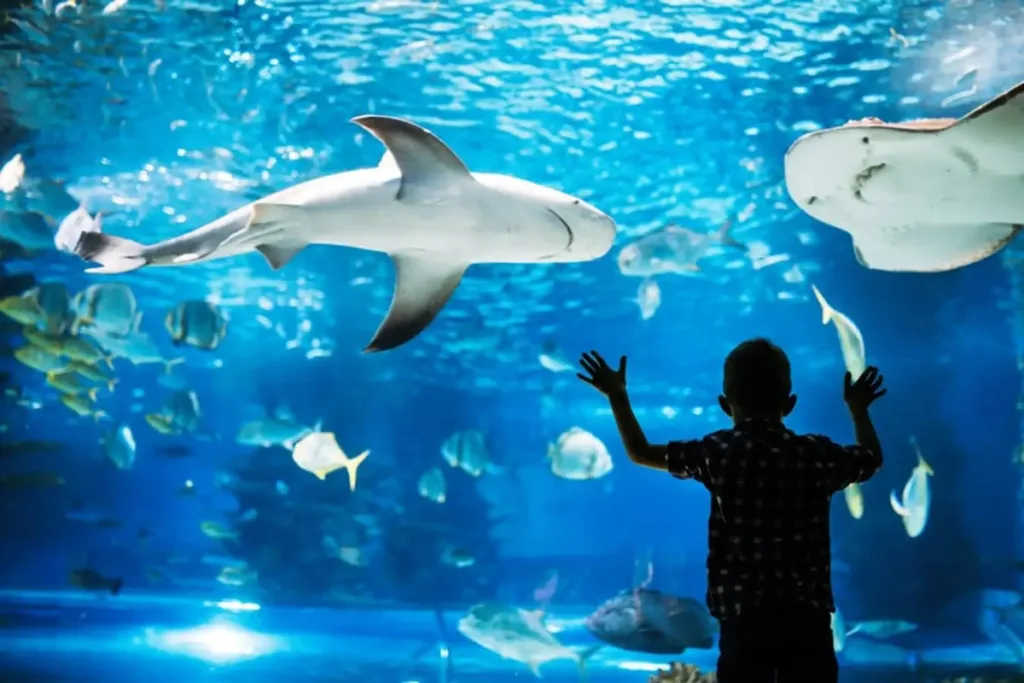 wisata lebaran jakarta - Jakarta Aquarium & Safari