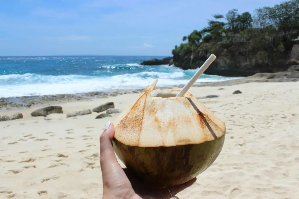 minum es kelapa di pinggir pantai, coconut by the beach