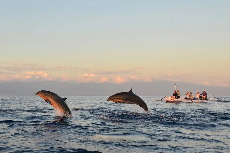 Lovina Dolphin Tour - Bali