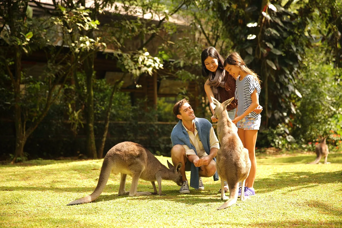 taman safari indonesia pasuruan