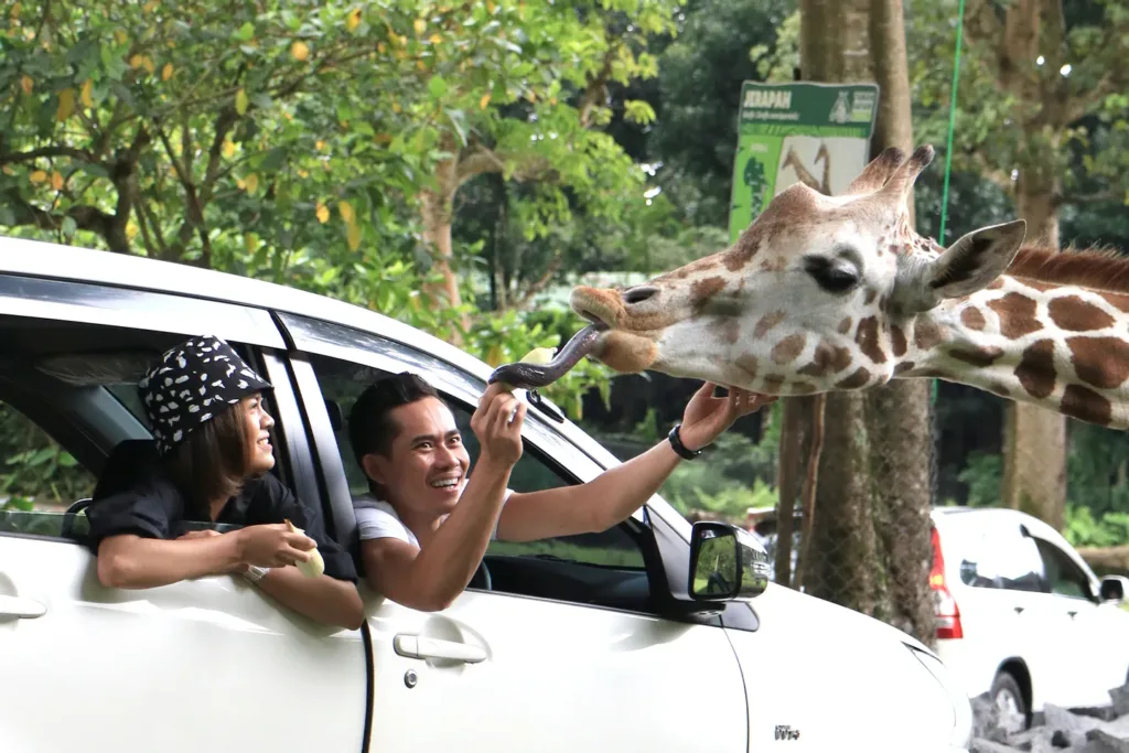 taman safari indonesia pasuruan