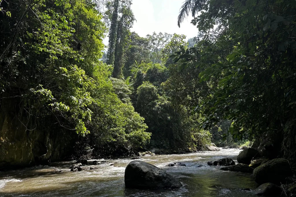 ubud - Tranquil rivers