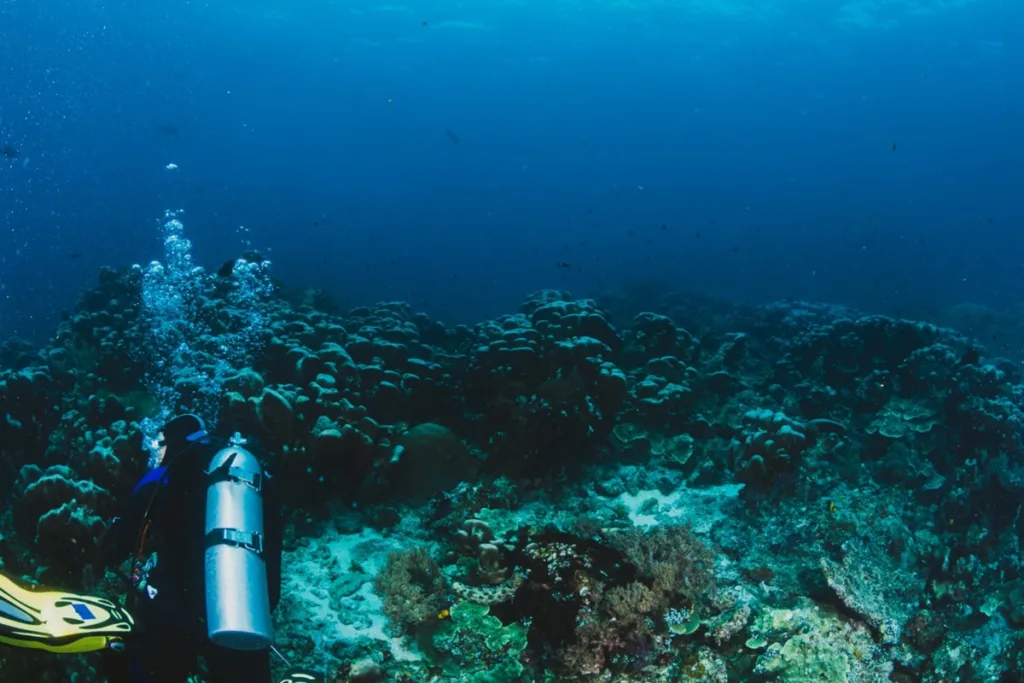 Bunaken Dive Sites