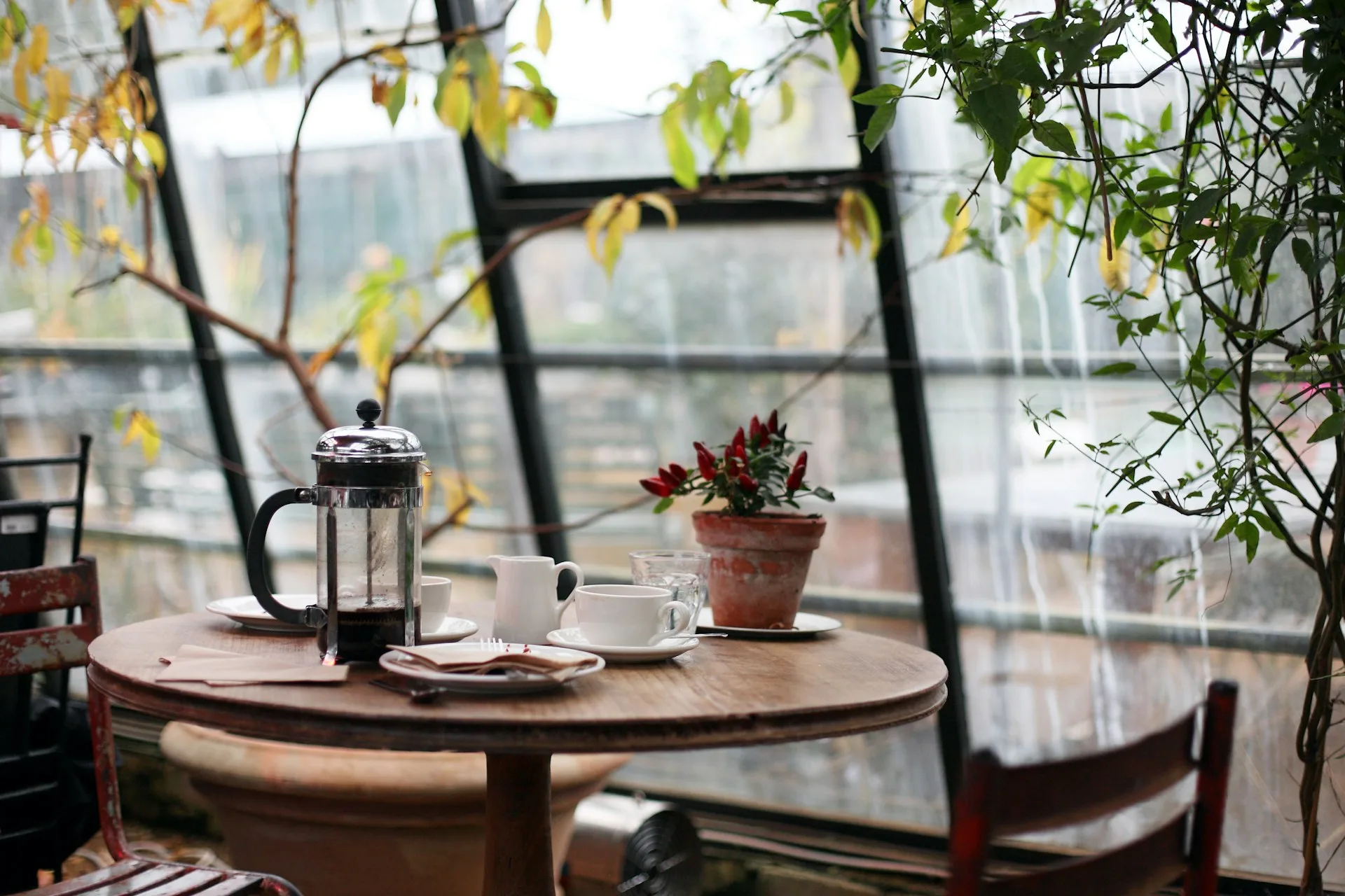 cafe di mojokerto - kedai kopi aesthetic