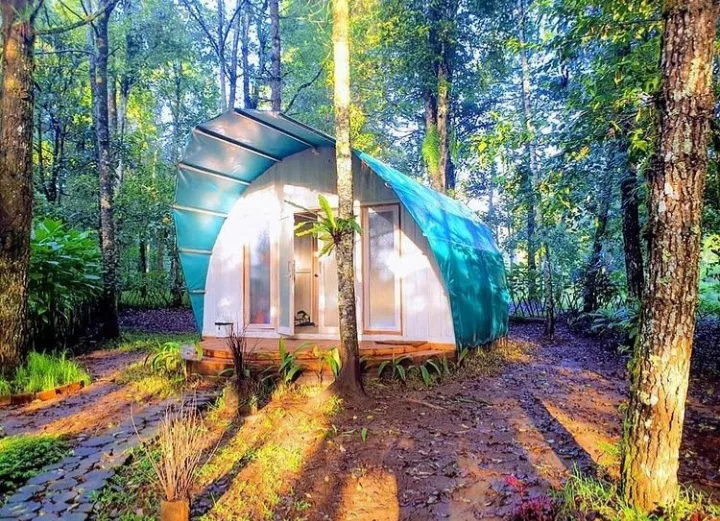 hejo forest glamping