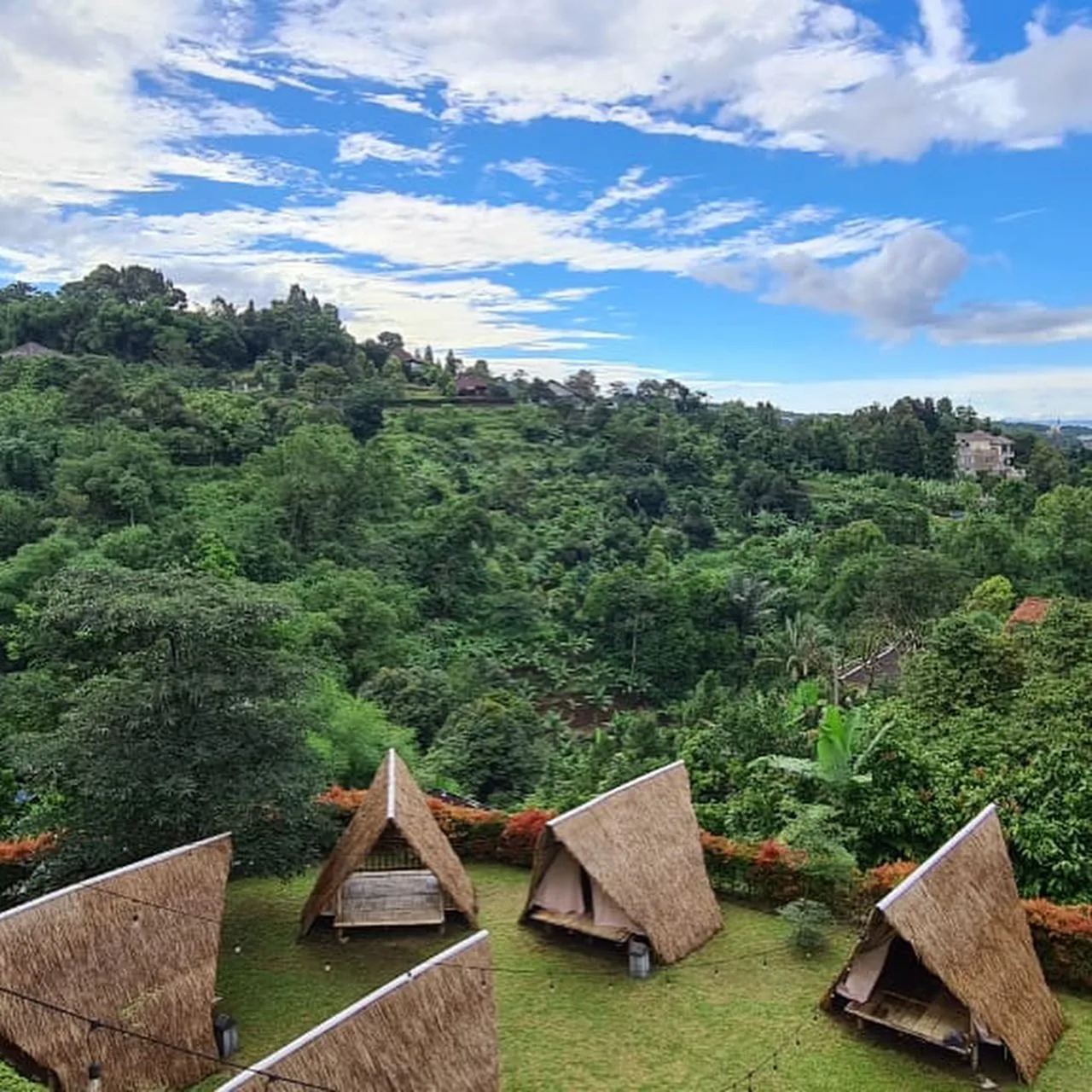 Alang-Alang Nature Camp, glamping bogor