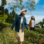 Bobocabin Dieng Pass, Batang