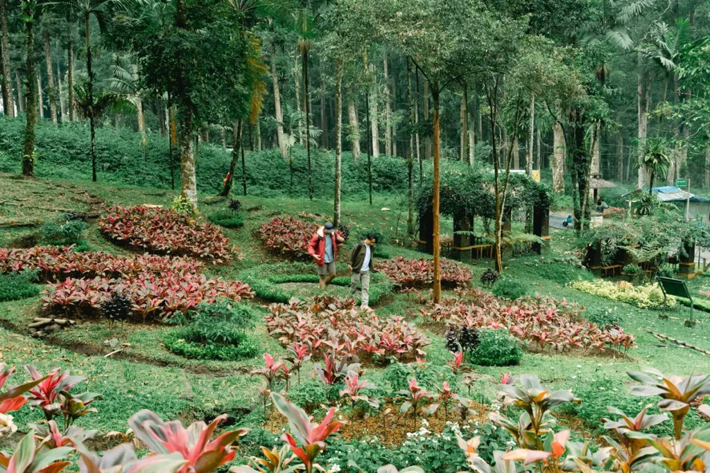 Kebun Raya Baturraden atau Baturraden Botanical Garden