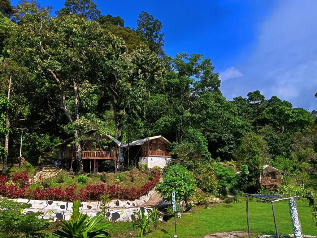 Teluk Sirih Glamping