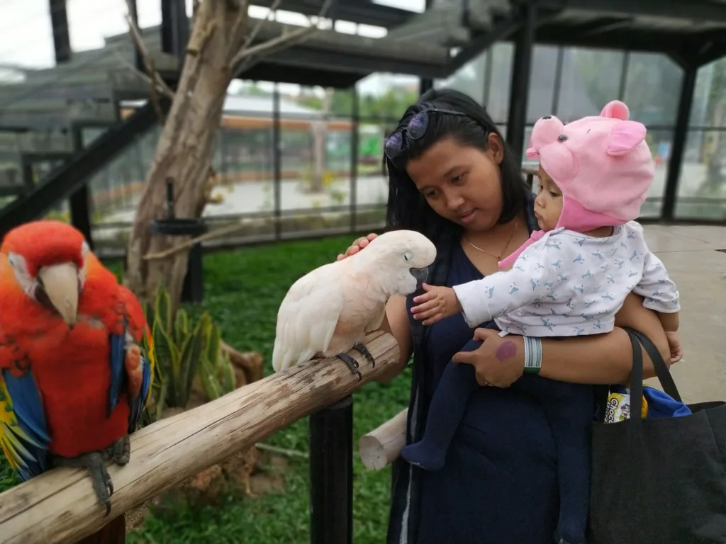 lembang park & zoo - objek wisata Sukawana