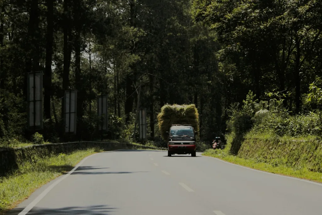 naik minibus