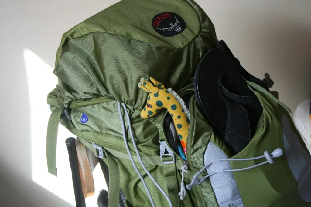 tips packing carrier