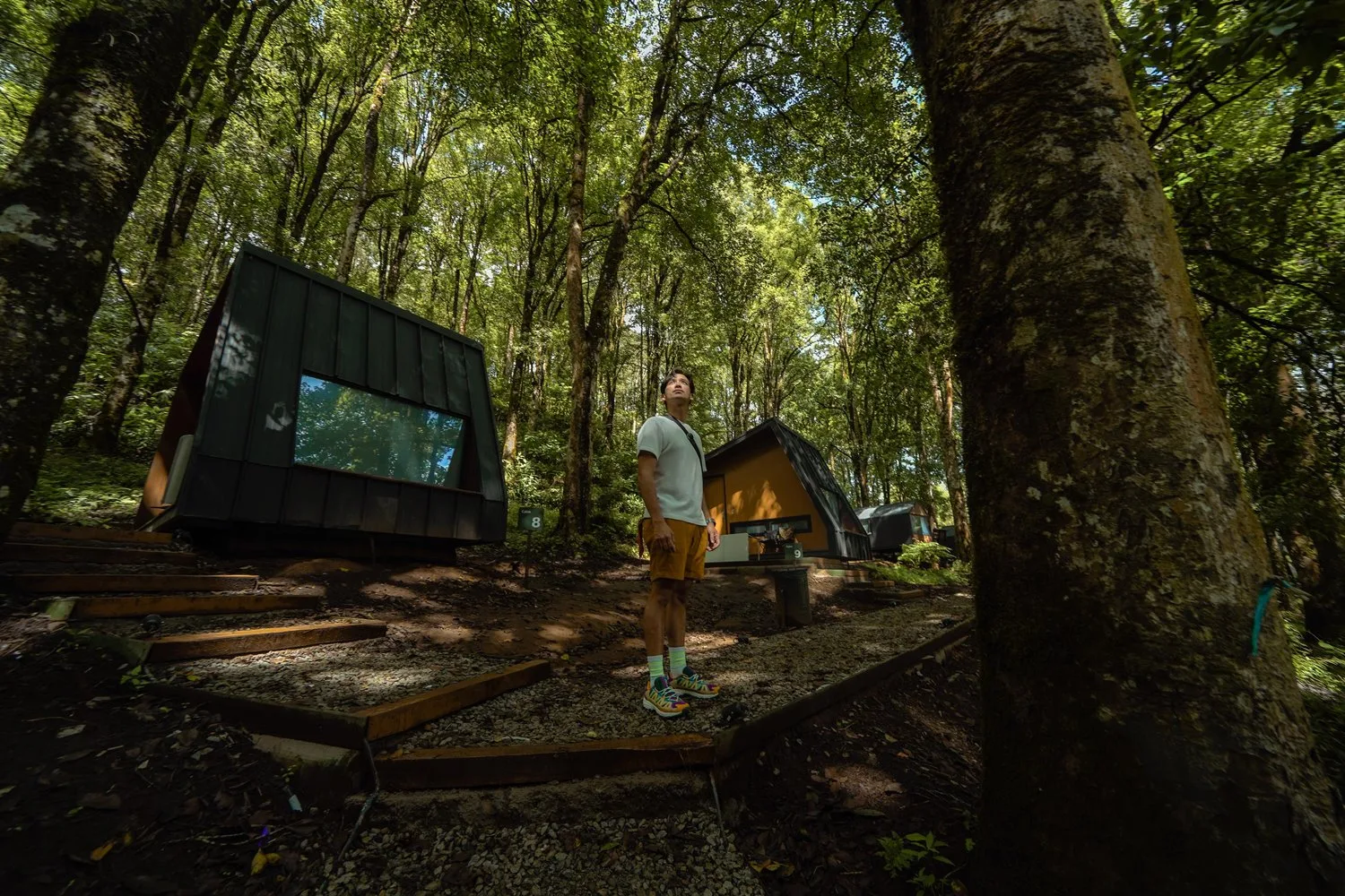 Bobocabin Ranca Upas