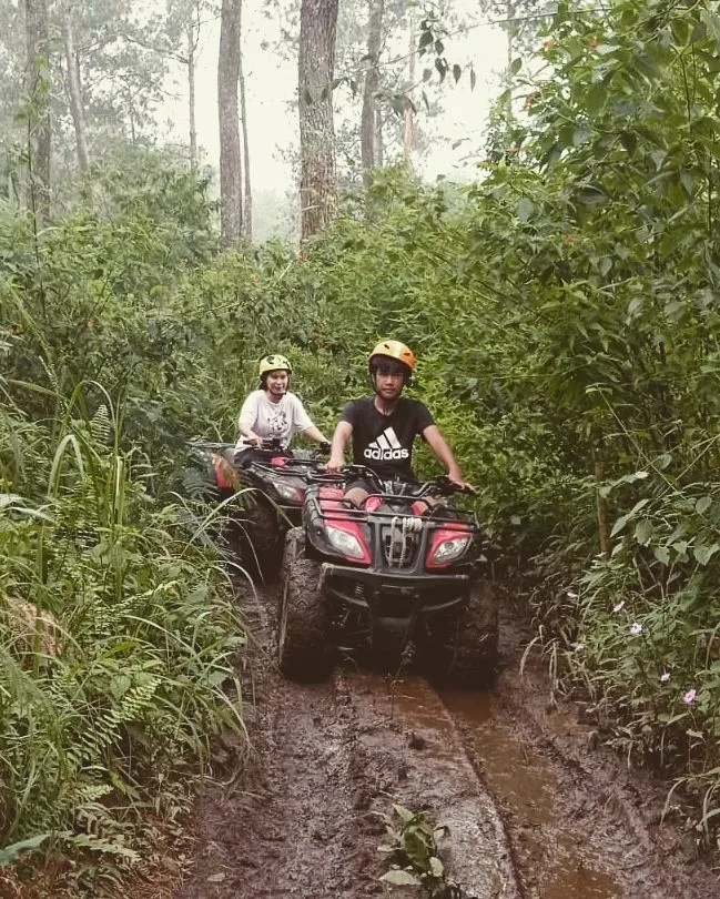 Orchid Forest Cikole