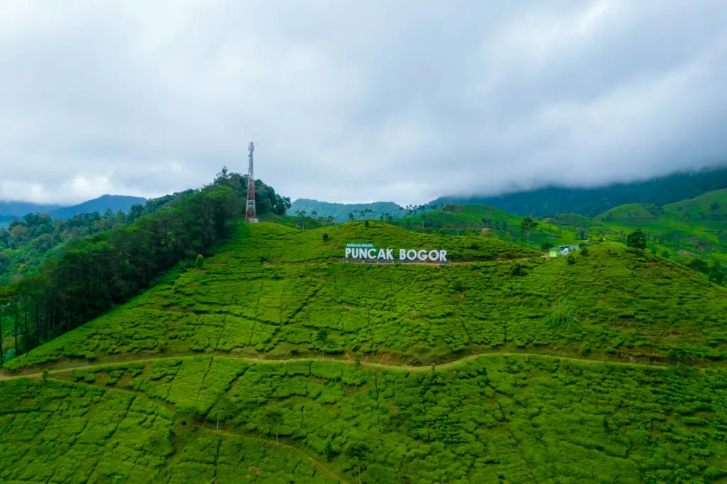 puncak bogor