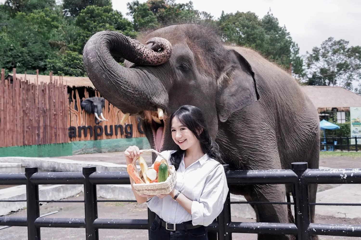 Lembang Park & Zoo