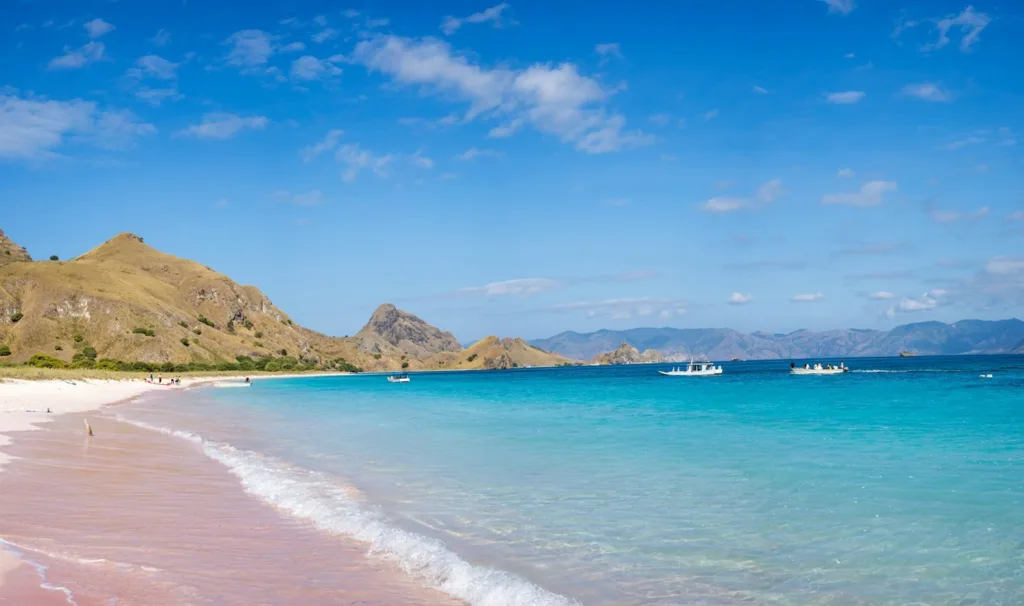 pink beach atau pantai pink lombok - tempat liburan di lombok