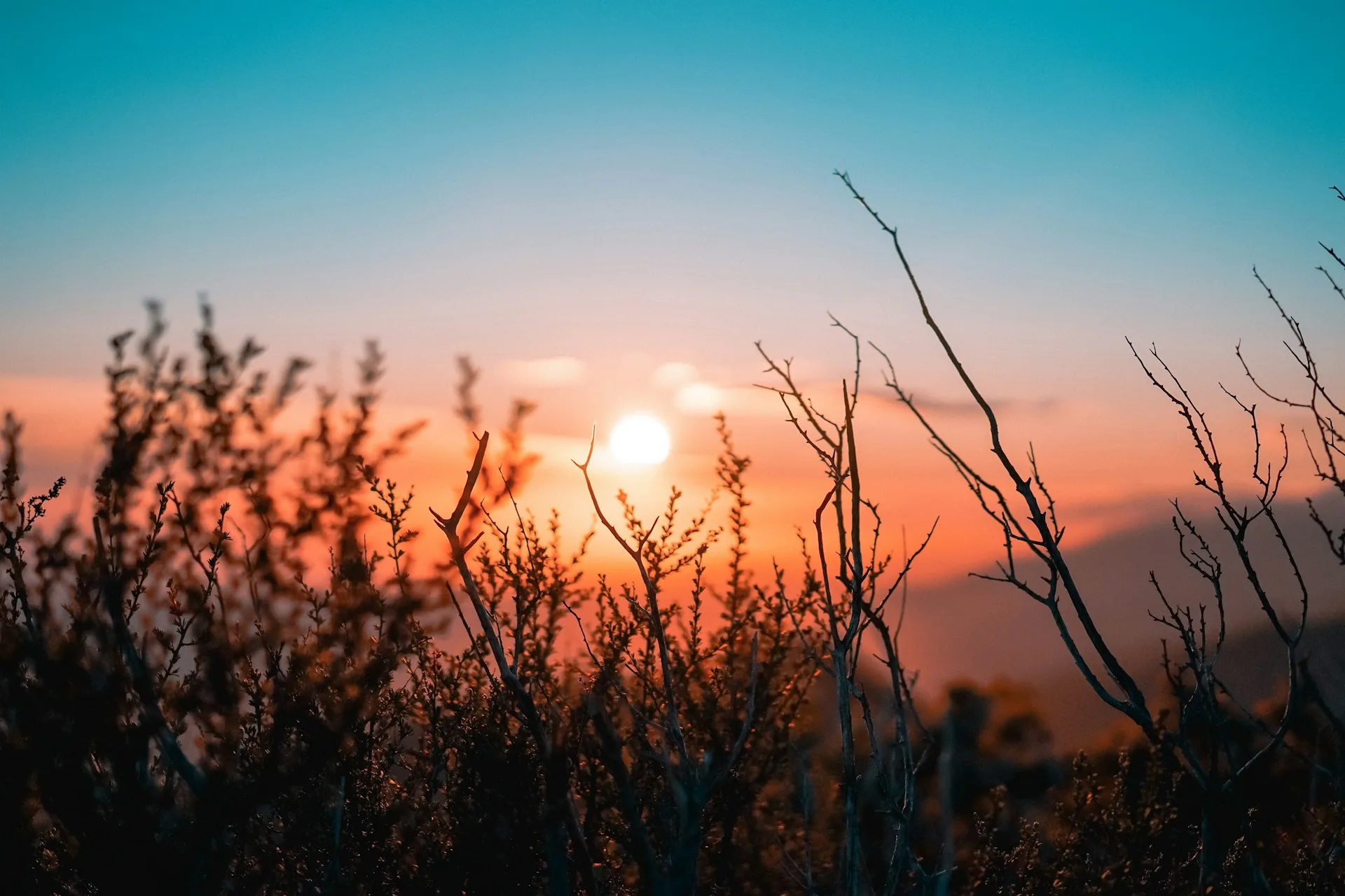 Ide kegiatan saat bulan madu - menikmati sunrise