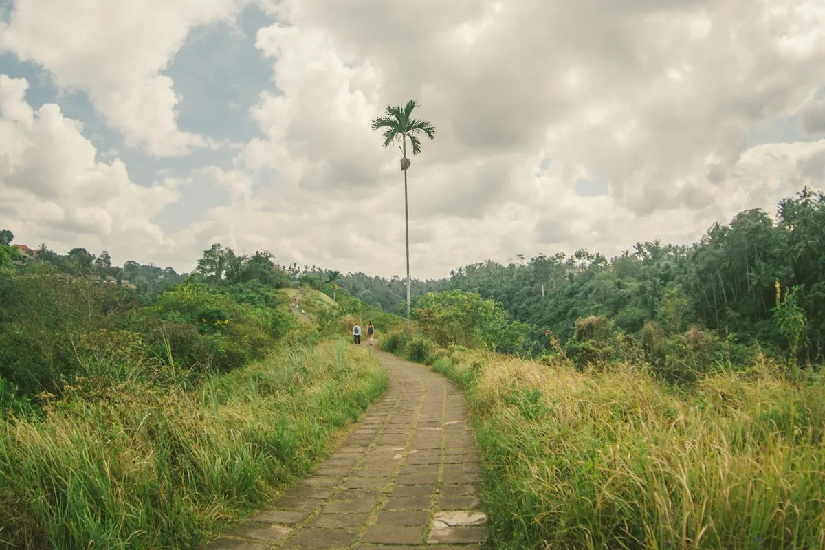 Campuhan Ridge Walk