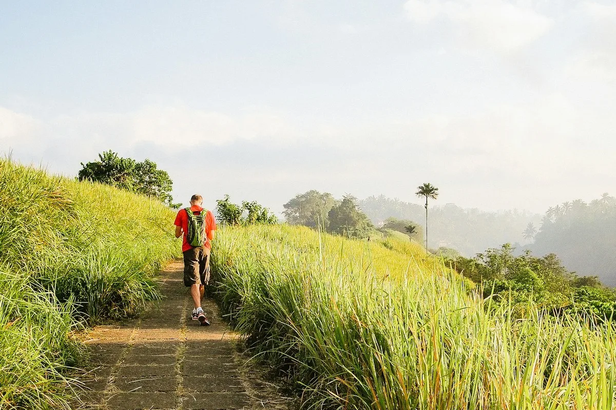 campuhan ridge walk