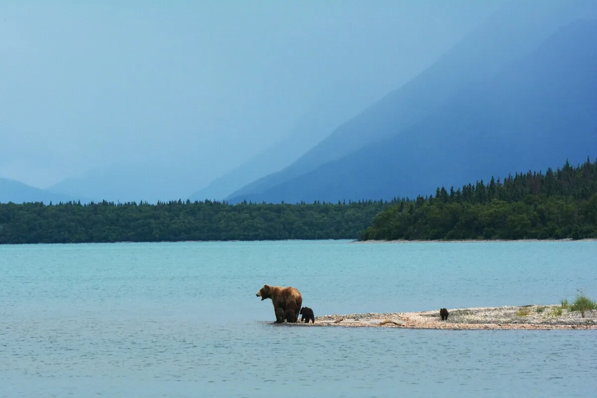 danau beruang besar, great bear lake