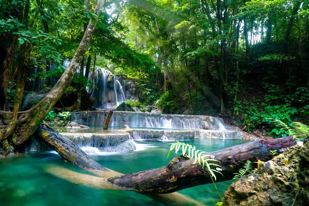 destinasi tempat bulan madu indonesia, pulau moyo