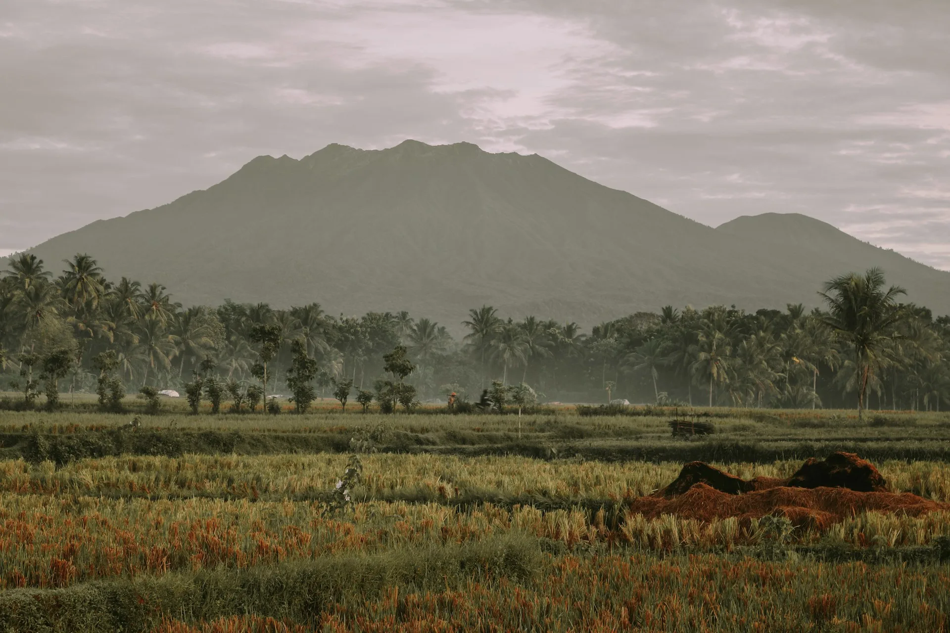 gunung raung, gunung tertinggi di indonesia