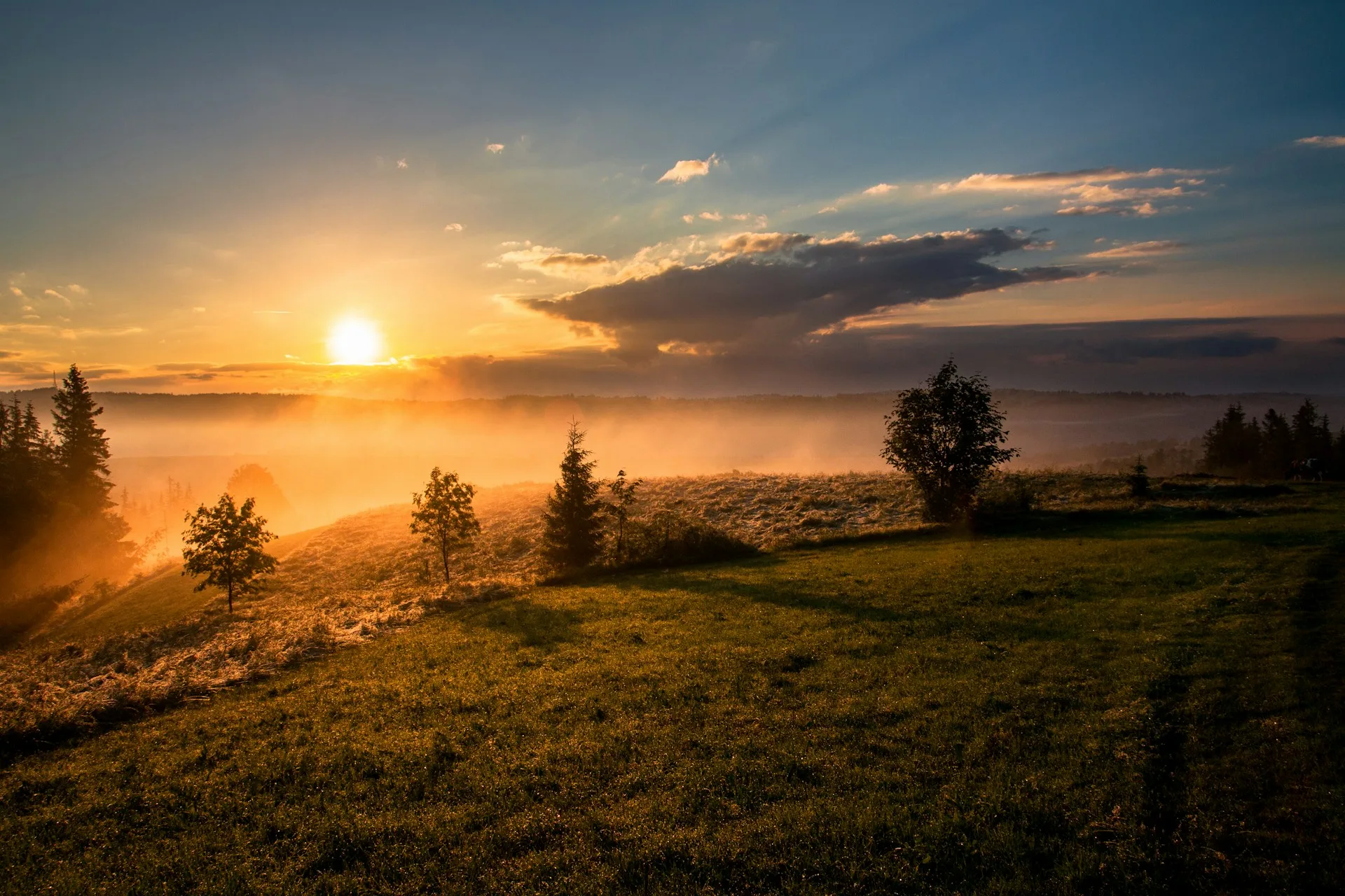 sunset, kebun teh wonosari