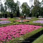 Taman Bunga Nusantara